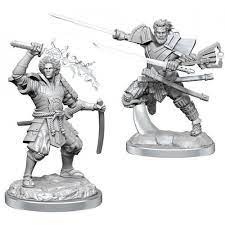 D&D Magic Mini: Raiyuu & Isshin